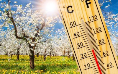 Temperaturi de aproape 20°C și ploi în următoarele zile