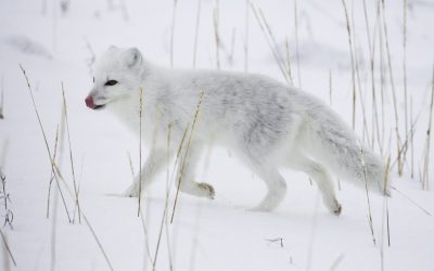 Femeie șocată de descoperirea surprinzătoare făcută acasă