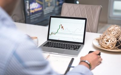 Ghid pentru adaptarea strategiei și menținerea vizibilității în fața algoritmilor (P)