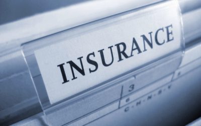 Signal Iduna: Subscrieri de 568,4 mil. lei în 2025, plus 19%, RCA pe drum