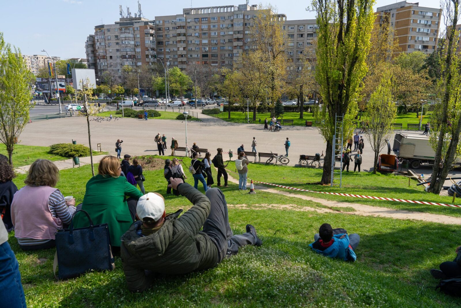 Arbori bătrâni din Parcul Tineretului, în pericol: cum pot fi salvați plopii