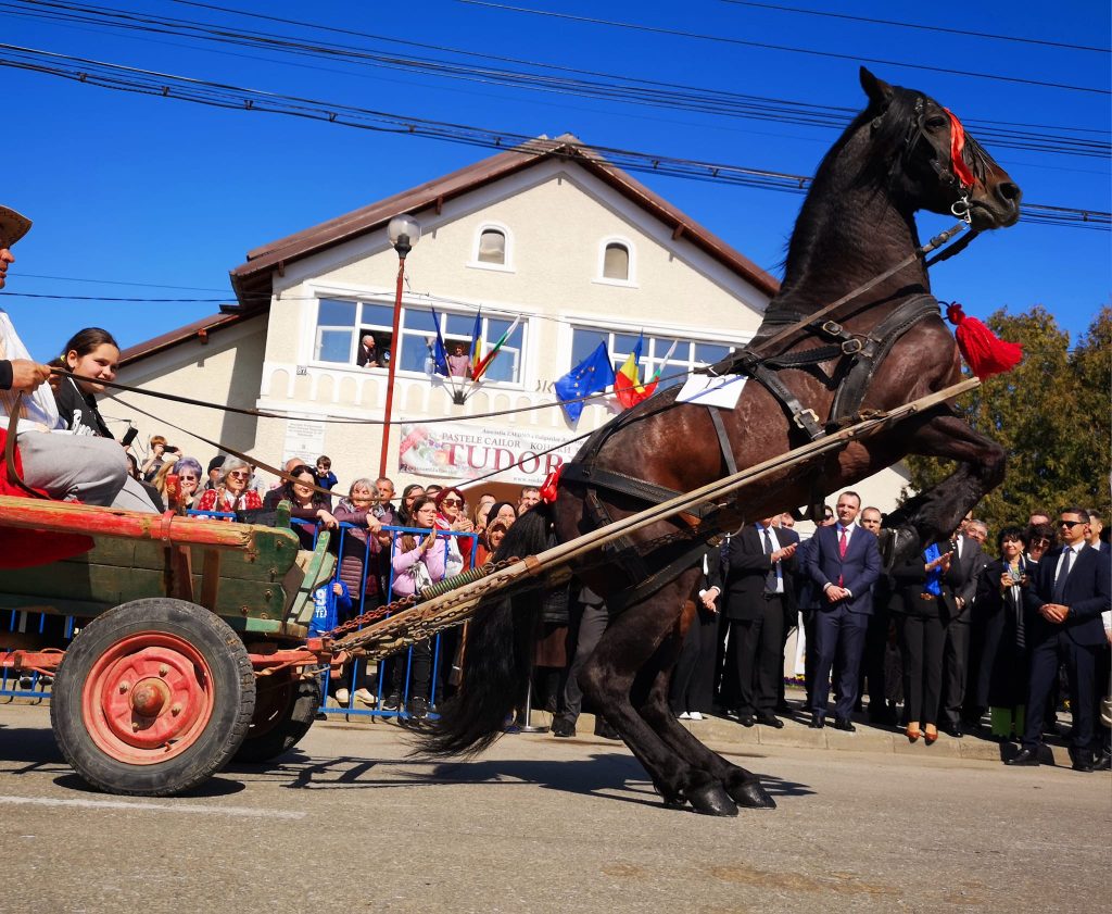 Paștele Cailor chiar există: Românii sărbătoresc tradițiile, nu doar o vorbă