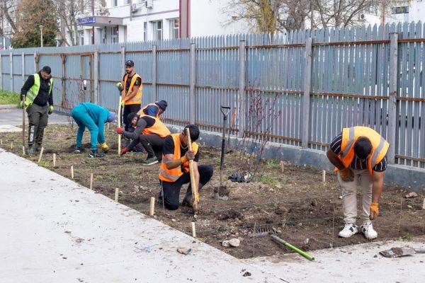 Galați: Patru păduri urbane, investiție VERDE de 3,5 milioane lei, prin PNRR