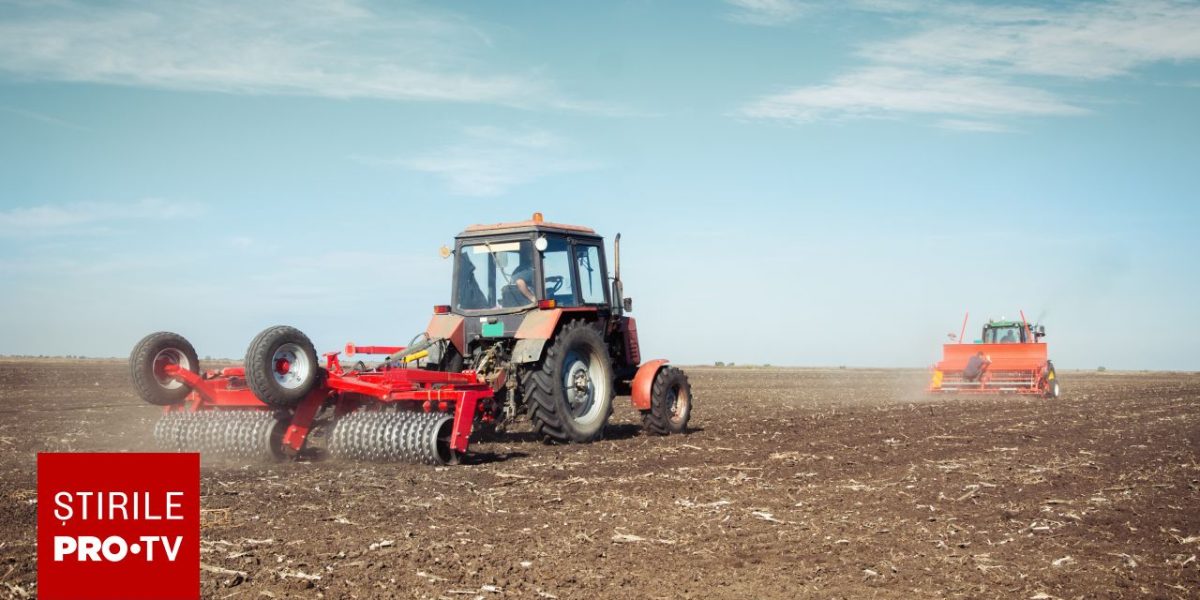 Super El Niño: Războiul și vremea vor scumpi mâncarea la nivel global