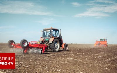 Un fenomen El Niño puternic, prognozat pentru finalul acestui an, ridică semne de întrebare serioase cu privire la securitatea alimentară globală, într-un context deja tensionat de conflicte geopolitice