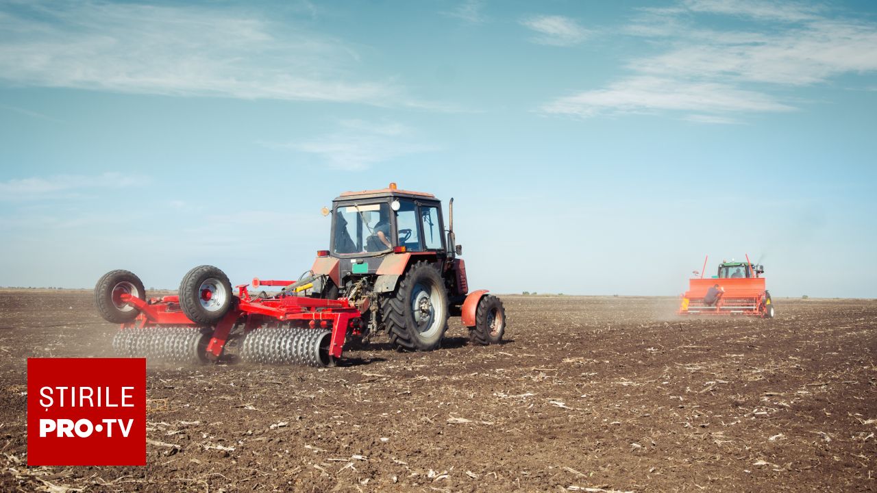 Un fenomen El Niño puternic, prognozat pentru finalul acestui an, ridică semne de întrebare serioase cu privire la securitatea alimentară globală, într-un context deja tensionat de conflicte geopolitice