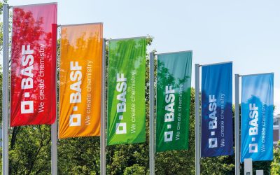 BASF, investiție majoră la București: Peste 50 de posturi noi
