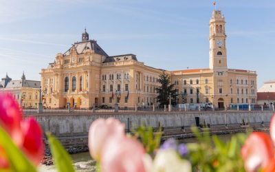 Oradea: Consilieri fac jocurile, transformând posturi de îngrijitori în inspectori