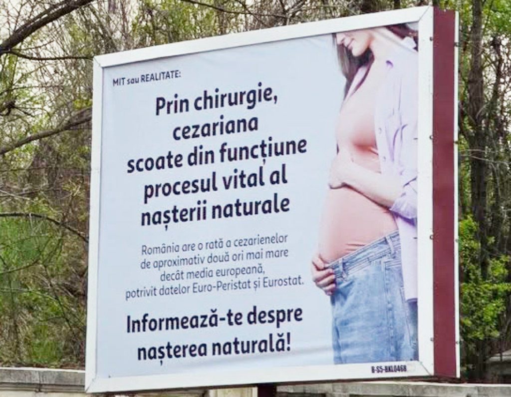 Cynthia Păun, scandal cu panouri controversate: cere intervenție urgentă până în 2026