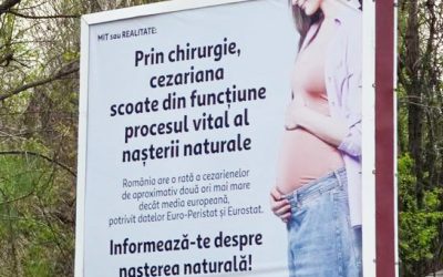 Cynthia Păun, scandal cu panouri controversate: cere intervenție urgentă până în 2026