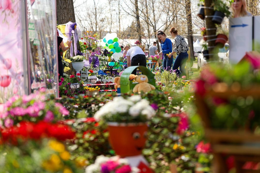 Simfonia Lalelelor, spectacol floral la Pitești: Floriști din toată țara, prezenți