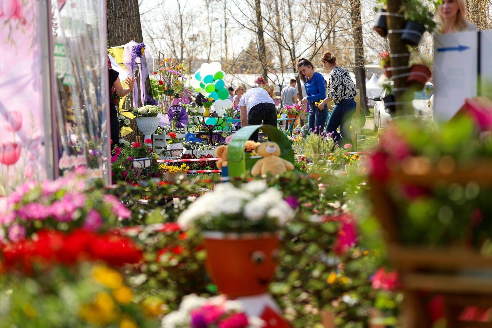 Simfonia Lalelelor, spectacol floral la Pitești: Floriști din toată țara, prezenți