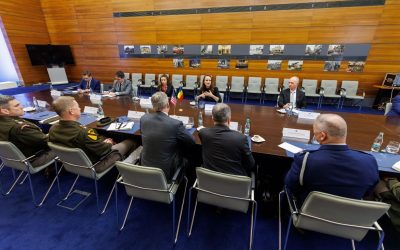 Oana Țoiu, dialog cu secretarul Armatei SUA despre incidentul dronei rusești. Parteneriatul cu SUA, crucial pentru România