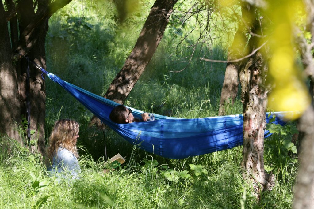 Școala care face bani cum poți câștiga mii de euro la un concurs despre natură