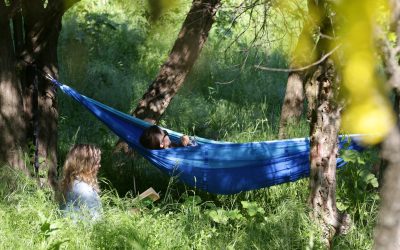 Școala care face bani cum poți câștiga mii de euro la un concurs despre natură