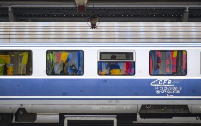 Copac căzut: Trenurile opresc pe ruta Brașov-Sighișoara