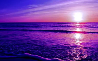 Oceanele lumii, spectacol violet: Schimbare majoră anunțată de cercetători