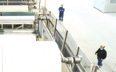 Regina investește 10 milioane euro în România: Extindere masivă pentru hârtia igienică