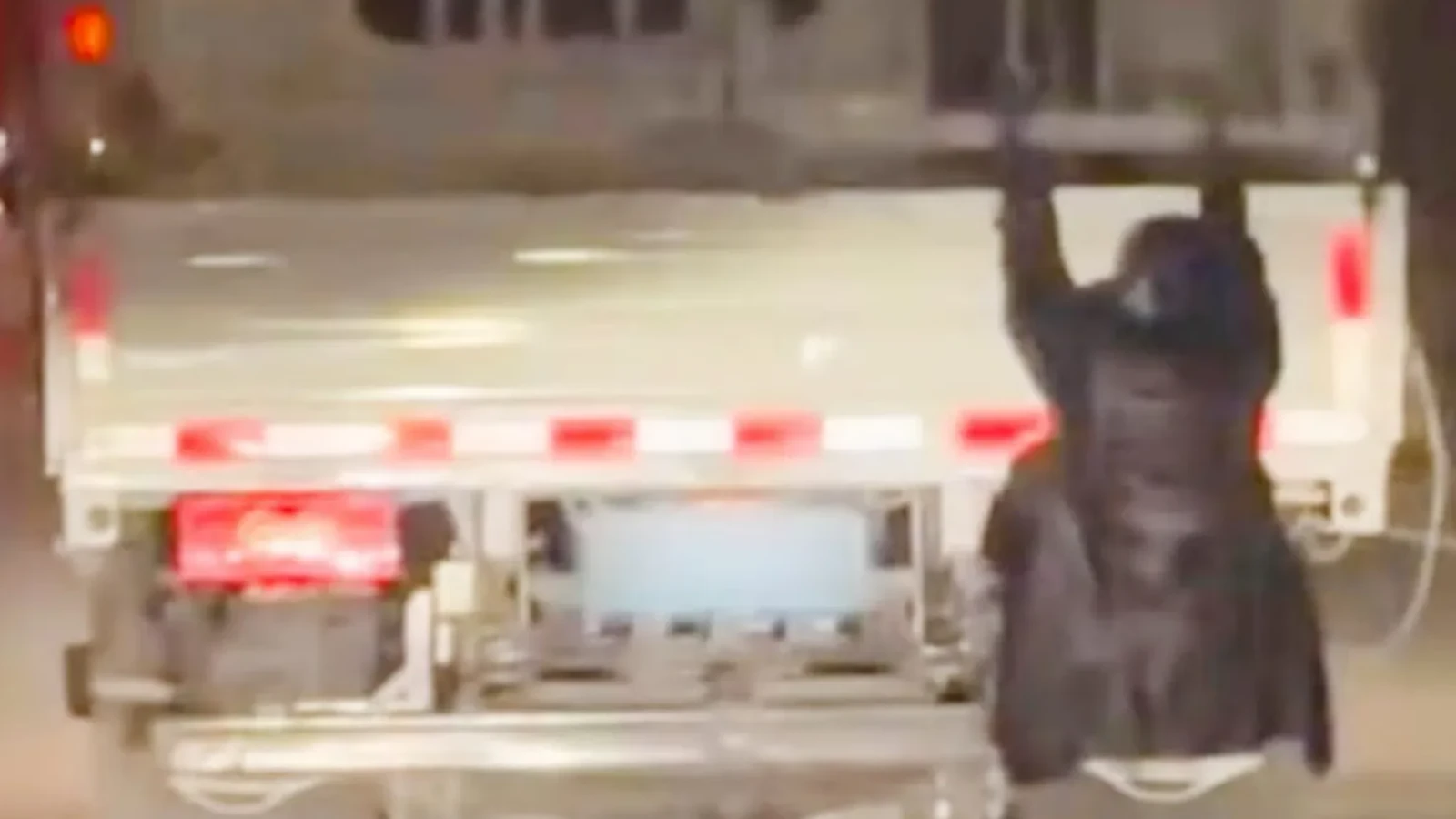 Camionul cu surprize: Polițiștii, șocați de ce a găsit în „pasagerul” clandestin