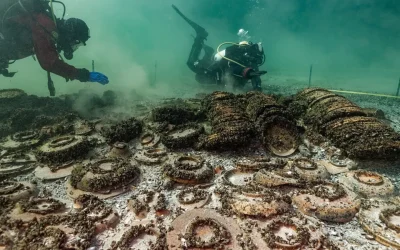 Arheologii, șocați: Descoperire ULUITOARE într-un lac din Elveția, veche de 2000 de ani