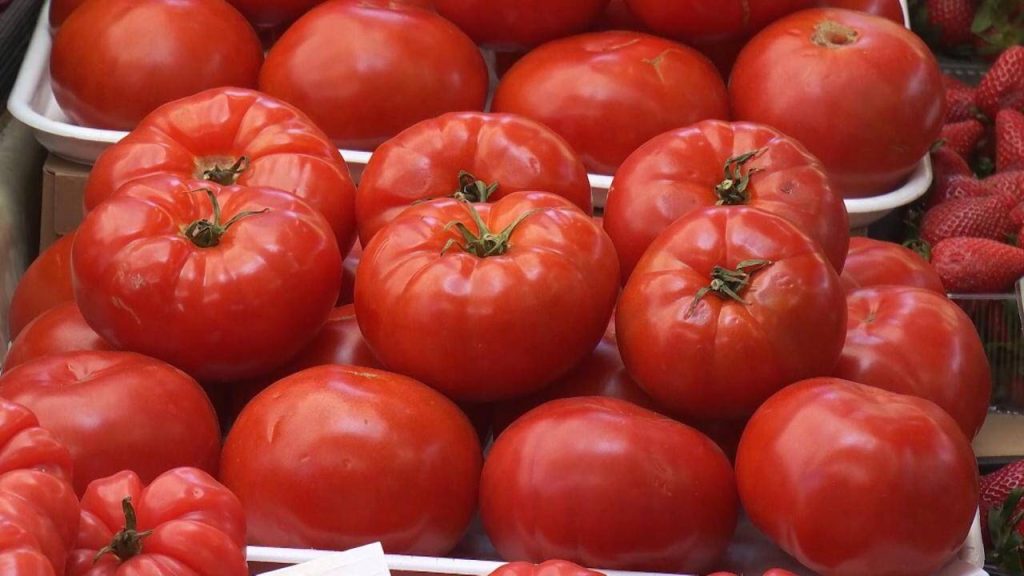 Producătorii de legume din România se confruntă cu prețuri mai ridicate și cu costuri sporite din cauza temperaturilor scăzute și a condițiilor meteo nefavorabile