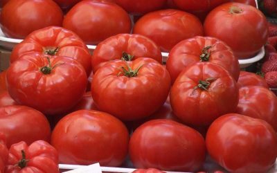 Producătorii de legume din România se confruntă cu prețuri mai ridicate și cu costuri sporite din cauza temperaturilor scăzute și a condițiilor meteo nefavorabile