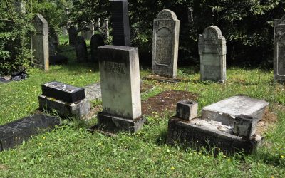 Vandalism la Reghin: Un parlamentar din Israel cere explicații