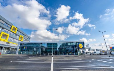 Lidl România, record de exporturi: 78 milioane EURO și creștere de 24% pentru furnizorii români