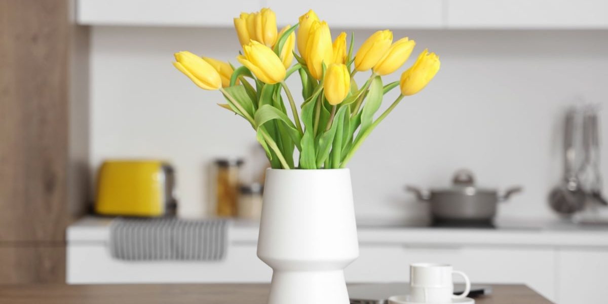 Diferența se va vedea în câteva săptămâni, anunță autoritățile