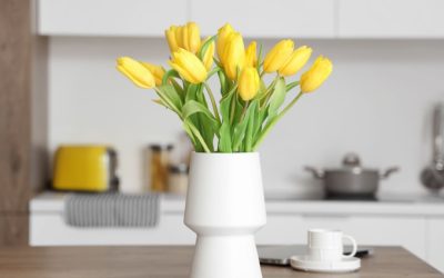 Diferența se va vedea în câteva săptămâni, anunță autoritățile