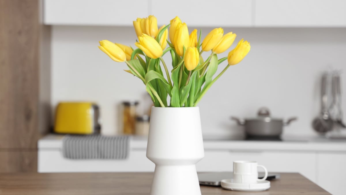 Diferența se va vedea în câteva săptămâni, anunță autoritățile