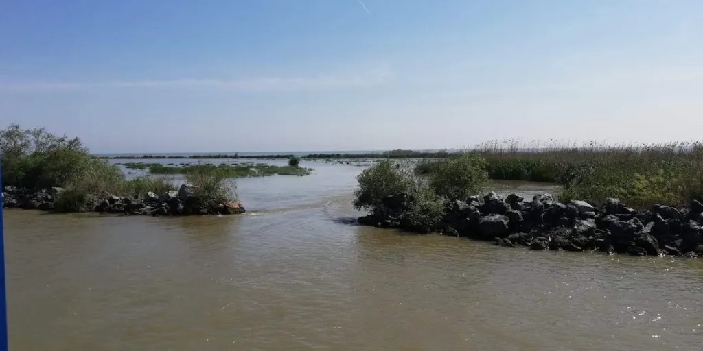 Prohibiția Generală începe în Delta Dunării: Ce se interzice