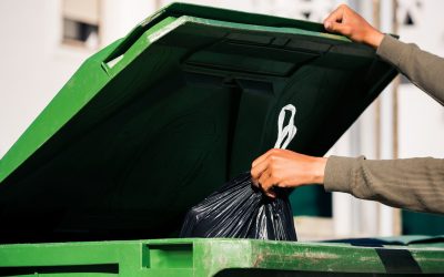 România, Garda de Mediu: Importuri blocate! Ce produse nu mai intră în țară