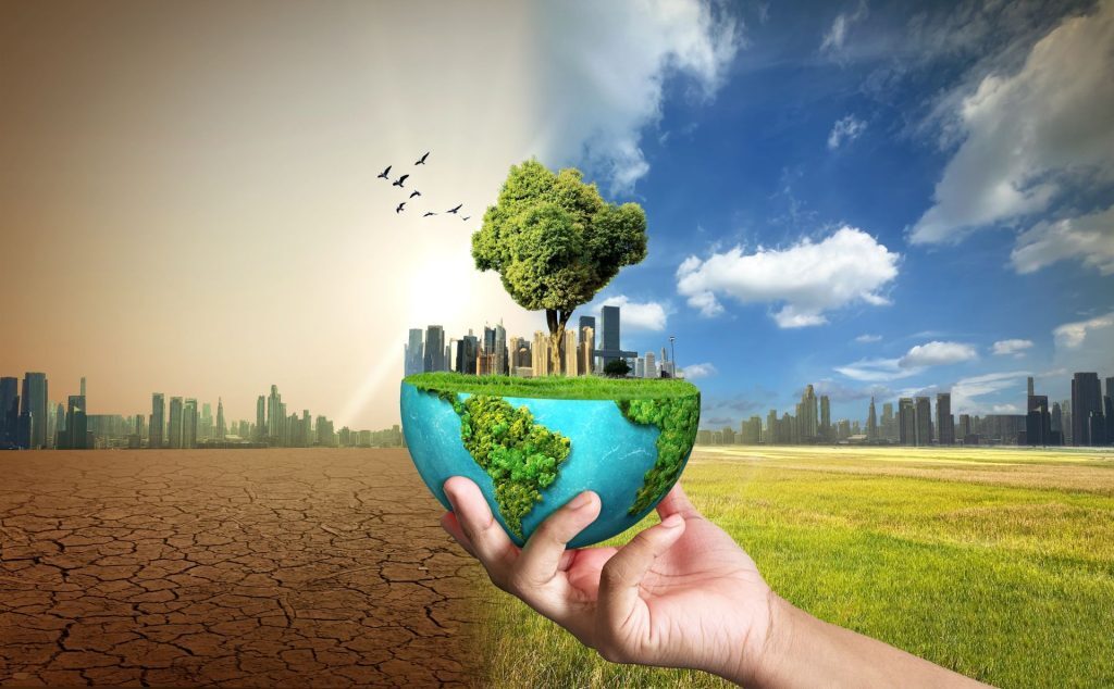 Un nou studiu publicat în revista Molecular Biology and Evolution arată că efectele schimbărilor climatice, provocate de activitatea umană și manifestate prin creșterea temperaturilor medii și fenomene extreme, pot persista de-a lungul mai multor generații, accelerând potențial procesul de evoluție în rândul animalelor