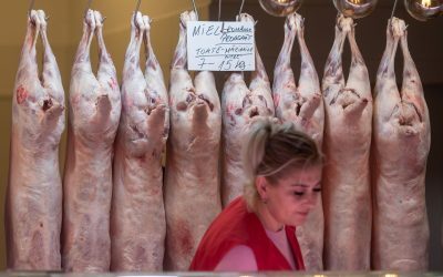 Prețurile la miel în Arad rămân neschimbate sau scad, crescătorii se tem de surplus din cauza războiului din Orientul Mijlociu