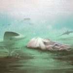 Fosila ”celei mai bătrâne caracatițe” e o țeapă: scanările au elucidat misterul