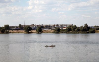 Mesaj RO-Alert emis în Tulcea după atacul rusesc cu drone la granița cu Ucraina Un mesaj RO-Alert a fost transmis marți dimineața în județul Tulcea, după ce autoritățile au înregistrat un incident de natură aeriană în zona de frontieră cu Ucraina