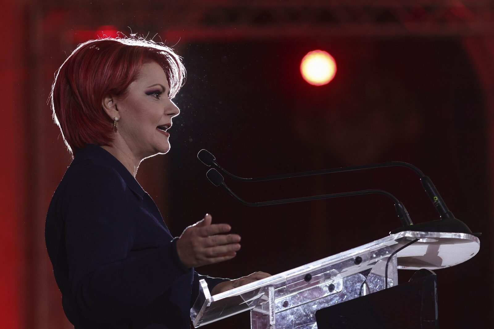 Lia Olguța Vasilescu, atac FĂRĂ precedent: „Șobolanul ăl mare se uită încruntat la români”