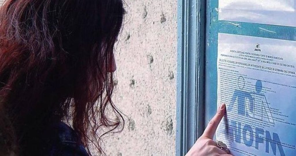 Guvernul modernizează ANOFM: digitalizare și echipe mobile pentru angajați