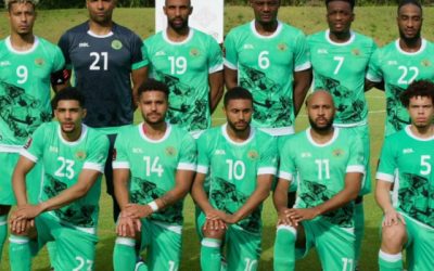 Naționala caută antrenor pe rețele sociale prin anunțuri la mica publicitate