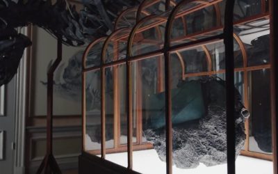 O echipă de oameni de știință și designeri a prezentat joi o geantă de mână realizată din colagen derivat din fosile de Tyrannosaurus rex, o creație unică menită să demonstreze potențialul pielii obținute în laborator