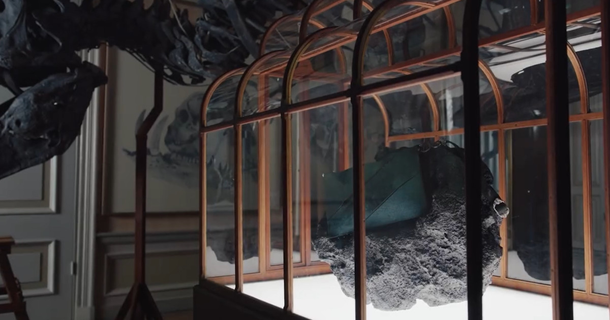 O echipă de oameni de știință și designeri a prezentat joi o geantă de mână realizată din colagen derivat din fosile de Tyrannosaurus rex, o creație unică menită să demonstreze potențialul pielii obținute în laborator