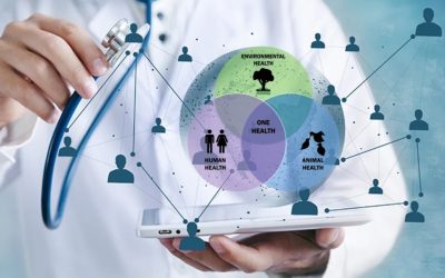 CieH și Ziarul Lumina, parteneriat strategic pentru educația medicală