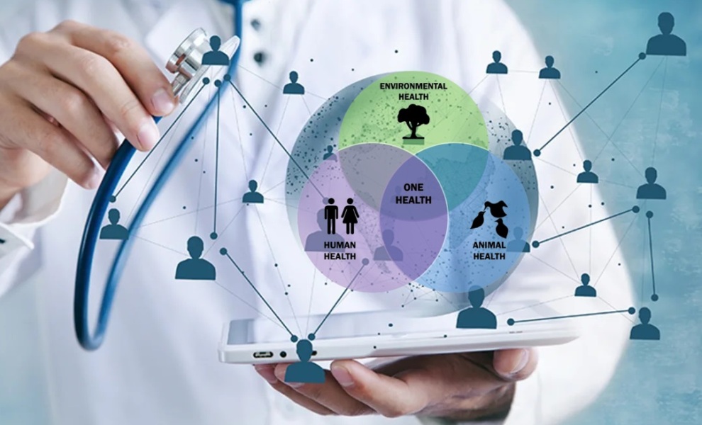 CieH și Ziarul Lumina, parteneriat strategic pentru educația medicală