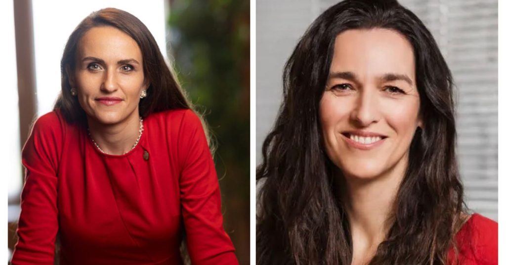 Oana Țoiu, dialog cu viitorul șef de Externe din Ungaria: Schimbare de abordare