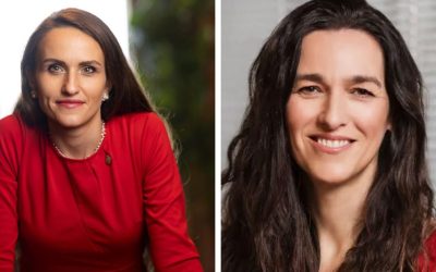 Oana Țoiu, dialog cu viitorul șef de Externe din Ungaria: Schimbare de abordare