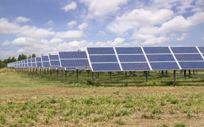 Un nou investitor în România aduce cea mai mare afacere de până acum