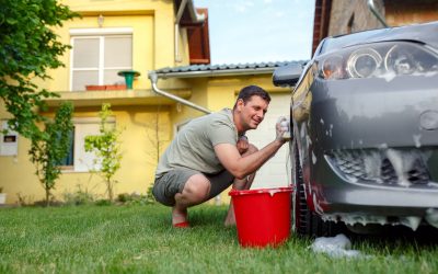 Viața la curte vine cu avantaje, dar și cu responsabilități în privința mediului Viața la curte, apreciată de mulți români pentru autonomia pe care o oferă, presupune o serie de responsabilități, mai ales în ceea ce privește protecția mediului