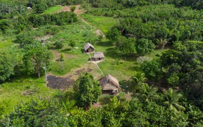 Drumuri antice, vechi de 2.700 de ani, descoperite în inima Amazonului