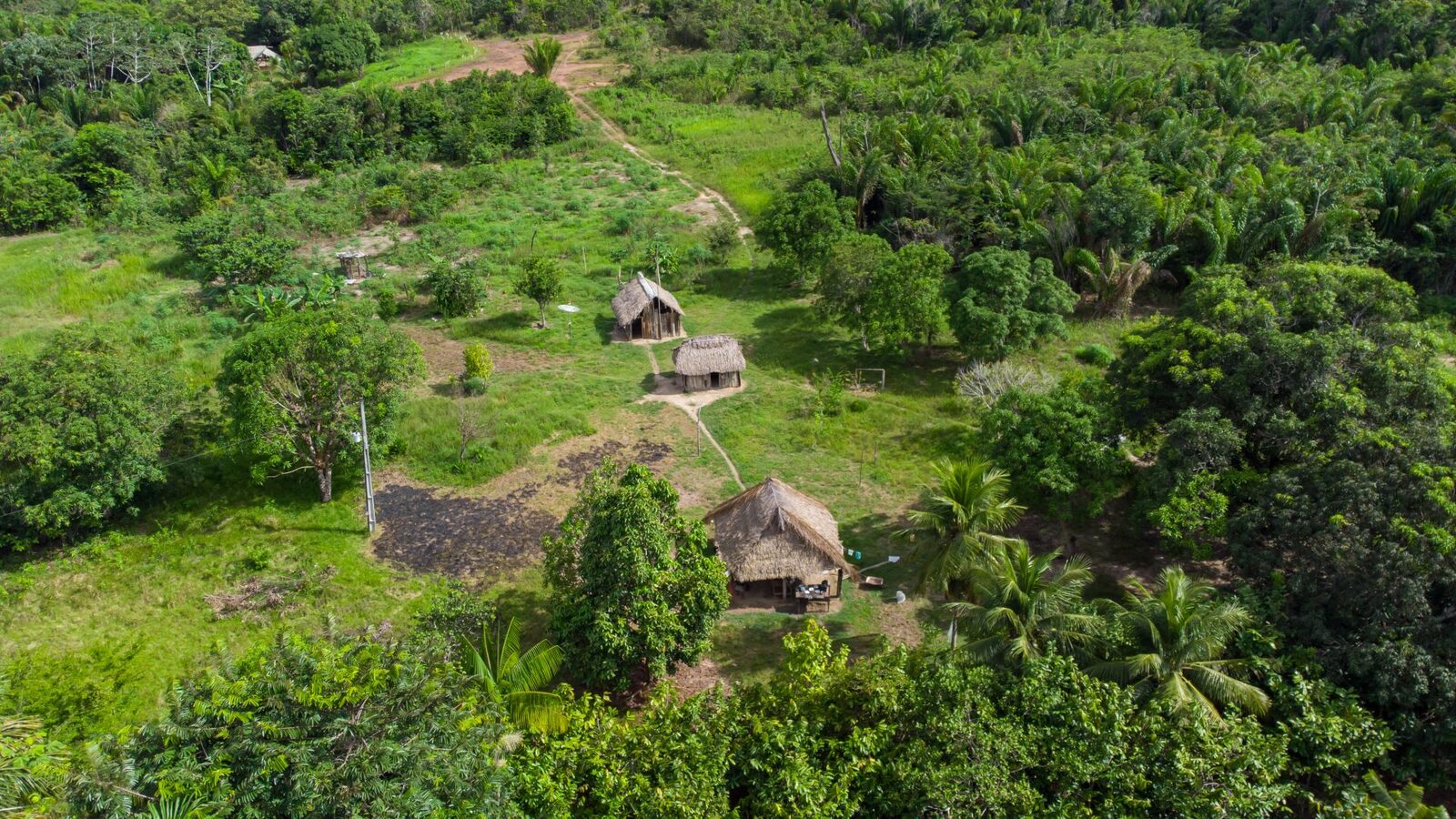 Drumuri antice, vechi de 2.700 de ani, descoperite în inima Amazonului